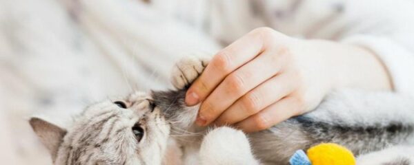 garder ses animaux à domicile